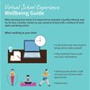 Virtual School Experience Wellbeing Guide