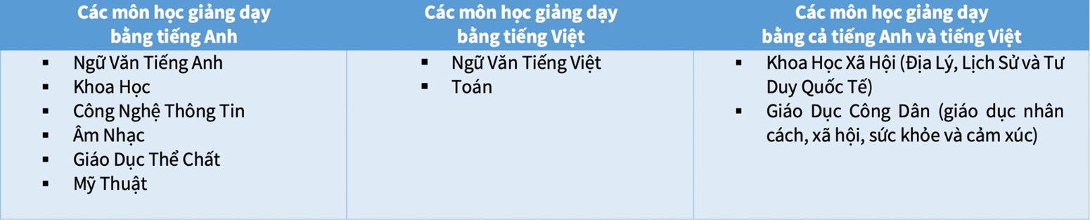 BVIS HCMC chương trình tiểu học quốc tế song ngữ