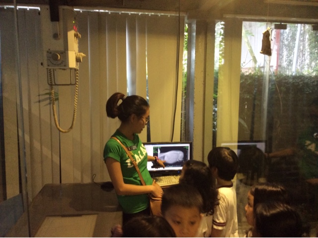 BIS Hanoi - Primary