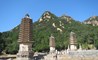 Y10 DEA Silver Pagoda Mt Sep 2020 (3)