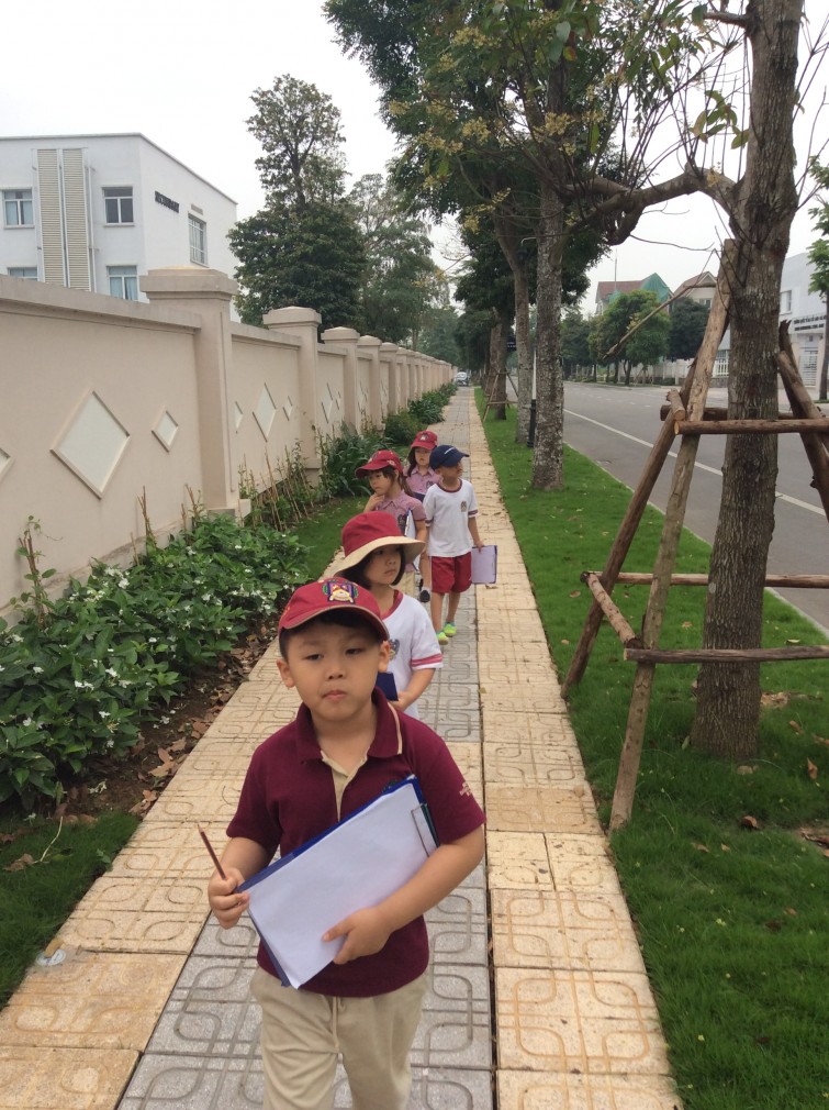 BIS Hanoi Primary
