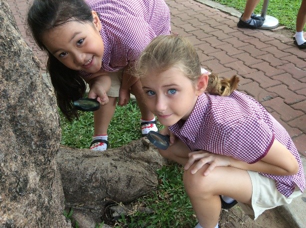 Our world-The Environment- Y2 (9)
