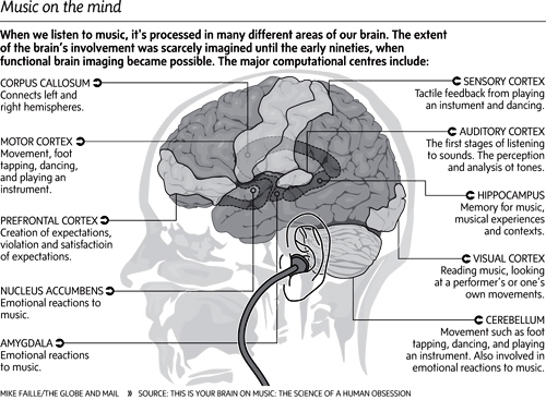 Brain music