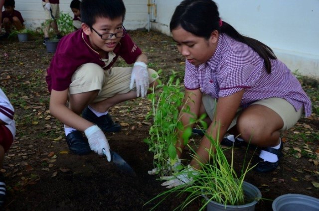 Eco Garden
