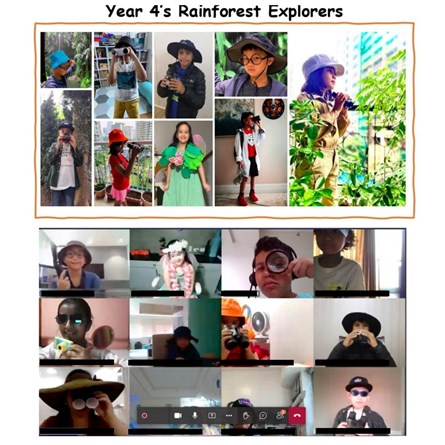 Year 4 Rainforest Explorers