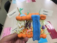 science12