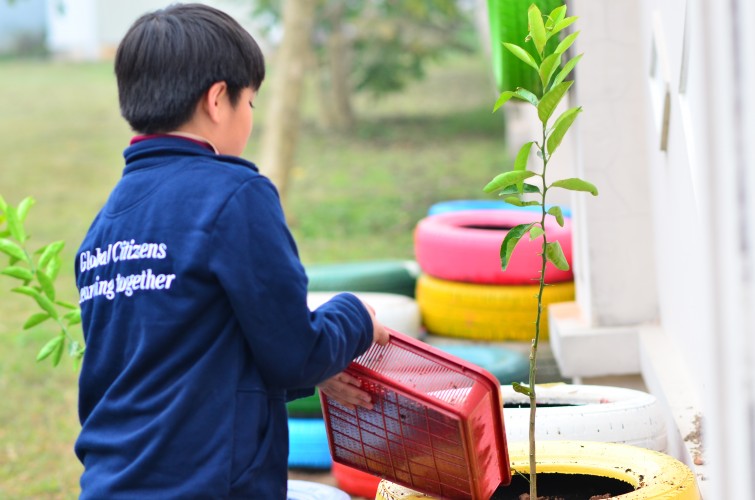 BIS Hanoi Primary