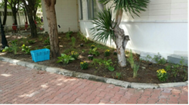Eco Garden2