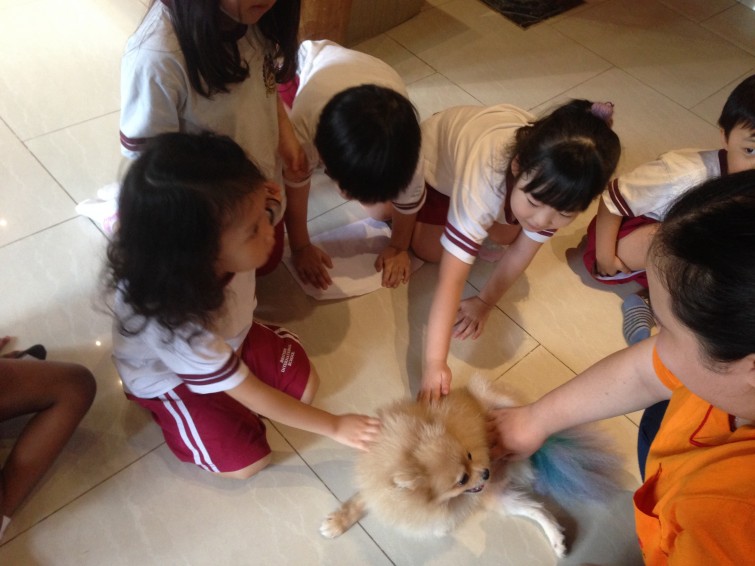 BIS Hanoi - Primary
