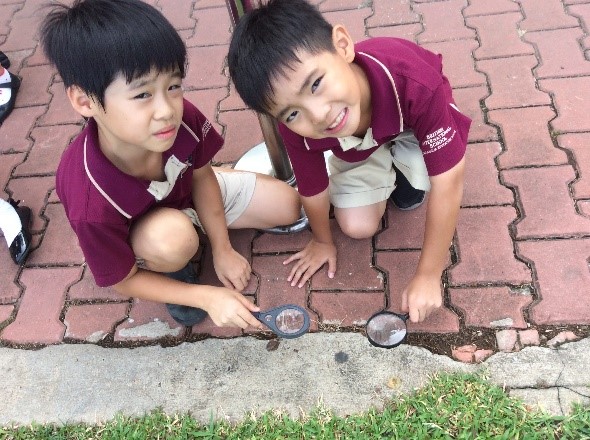 Our world-The Environment- Y2 (8)