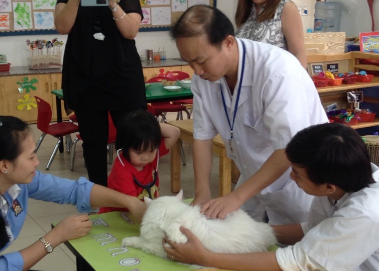 Dr Nghia and the Cat
