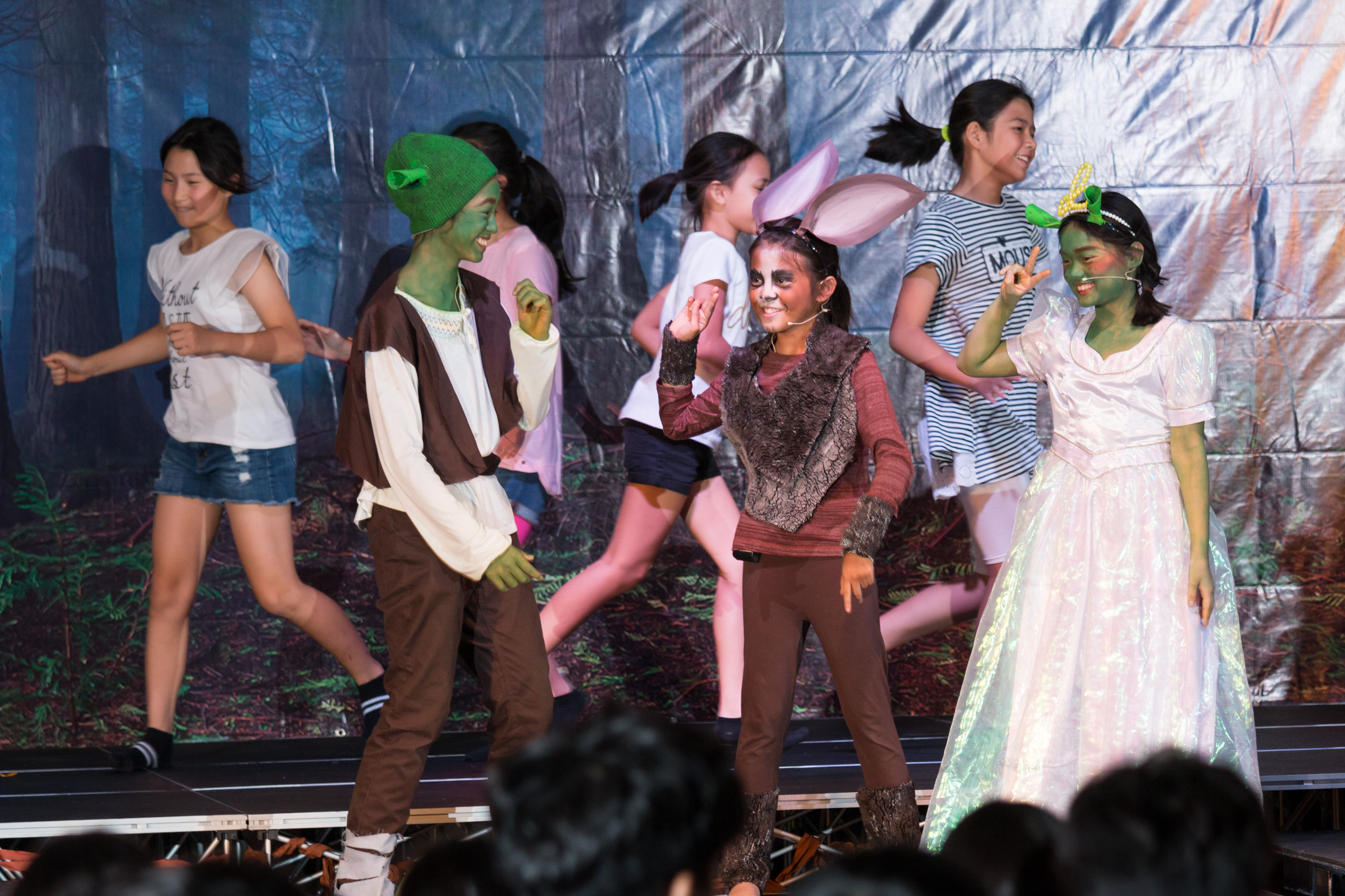 Shrek 17-2410