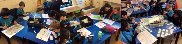 Macaws Maths Week