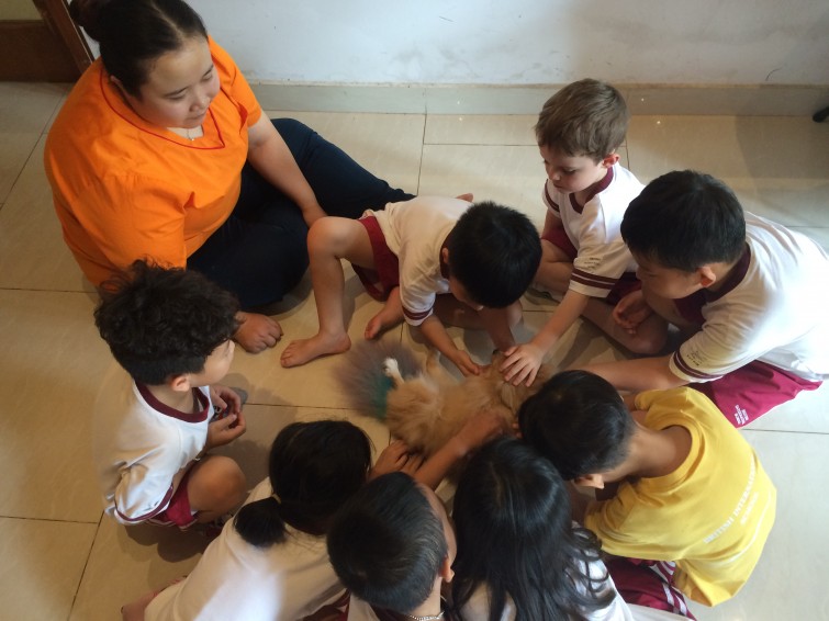 BIS Hanoi - Primary