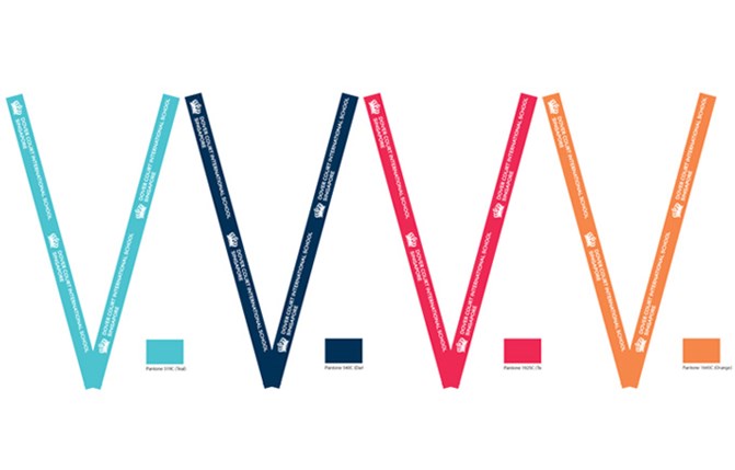 Lanyard colours