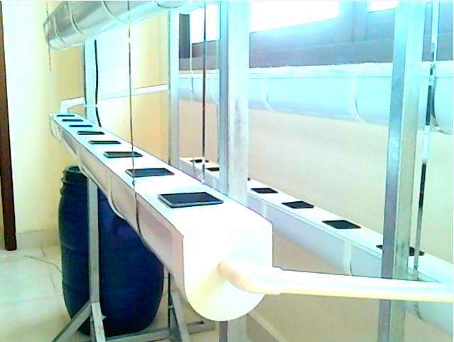 Hyproponics 6
