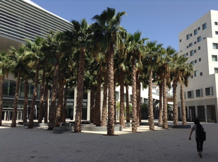 NYUAD7