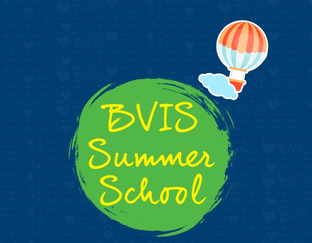 BVIS Summer School