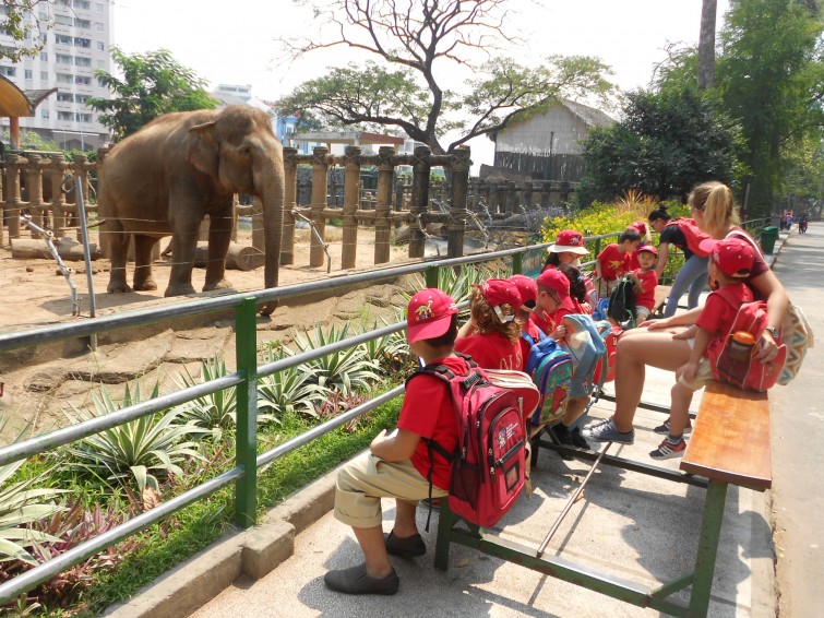 EYFS Trip to the Zoo