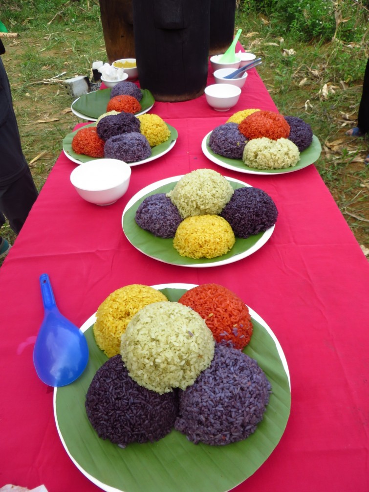 rice 4