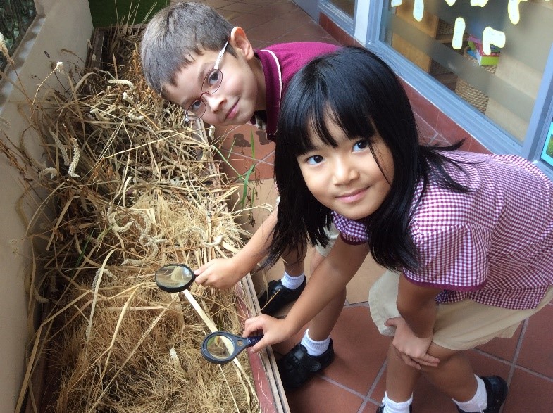 Our world-The Environment- Y2 (12)