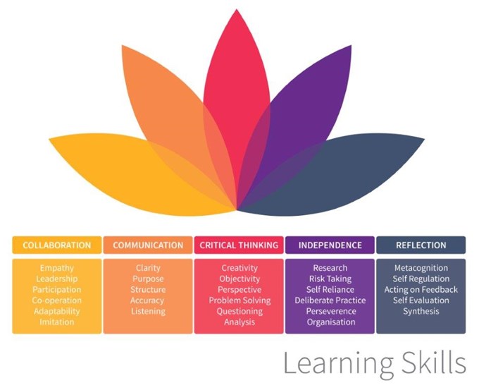 Learning Lotus BIS HCMC