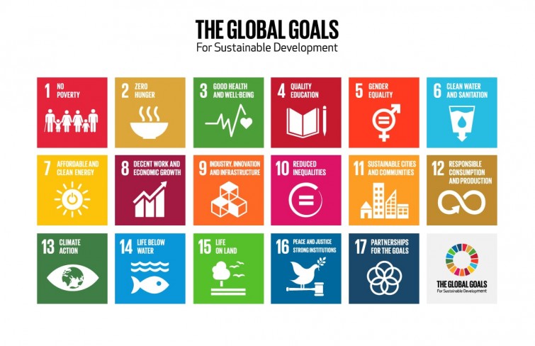 TheGlobalGoals_Logo_and_Icons-min