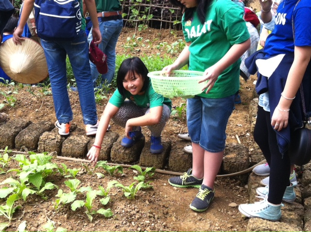 Year 7 Bavi Expedition