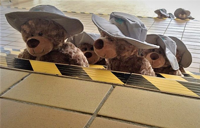 Sun Hat Bear Leaving