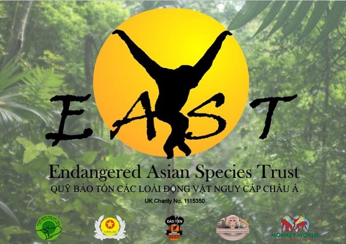 Year 6 (4)-EAST