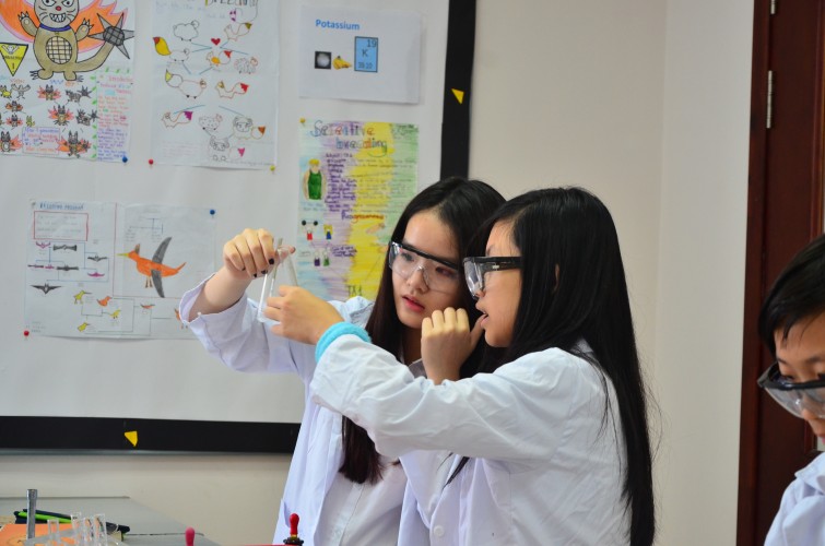 BIS Hanoi science