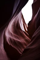 Winner of the summer photo competition