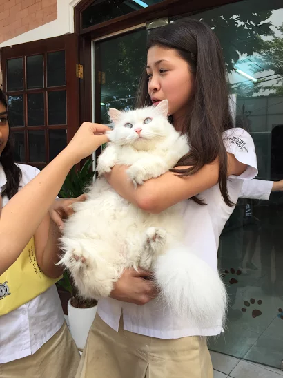 All About Animals_student-led ECA2