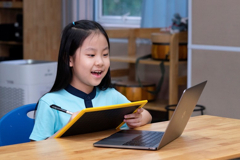 Primary student VSE