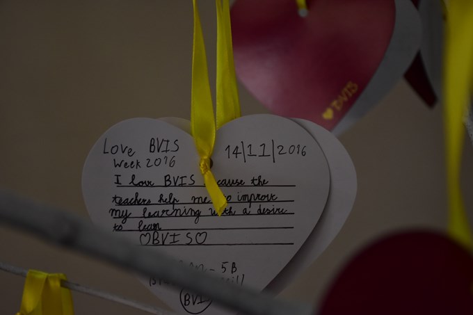 BVS_8452