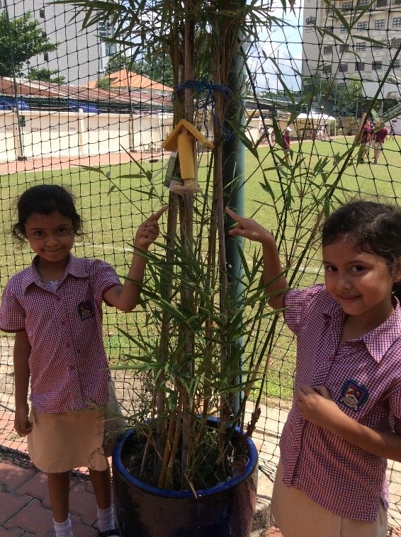 Our world-The Environment- Y2 (2)
