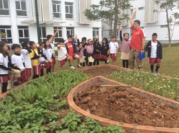 BIS Hanoi Primary