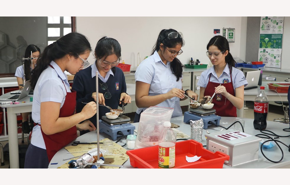 IB Diploma Group 4 Project 2020 British International School HCMC