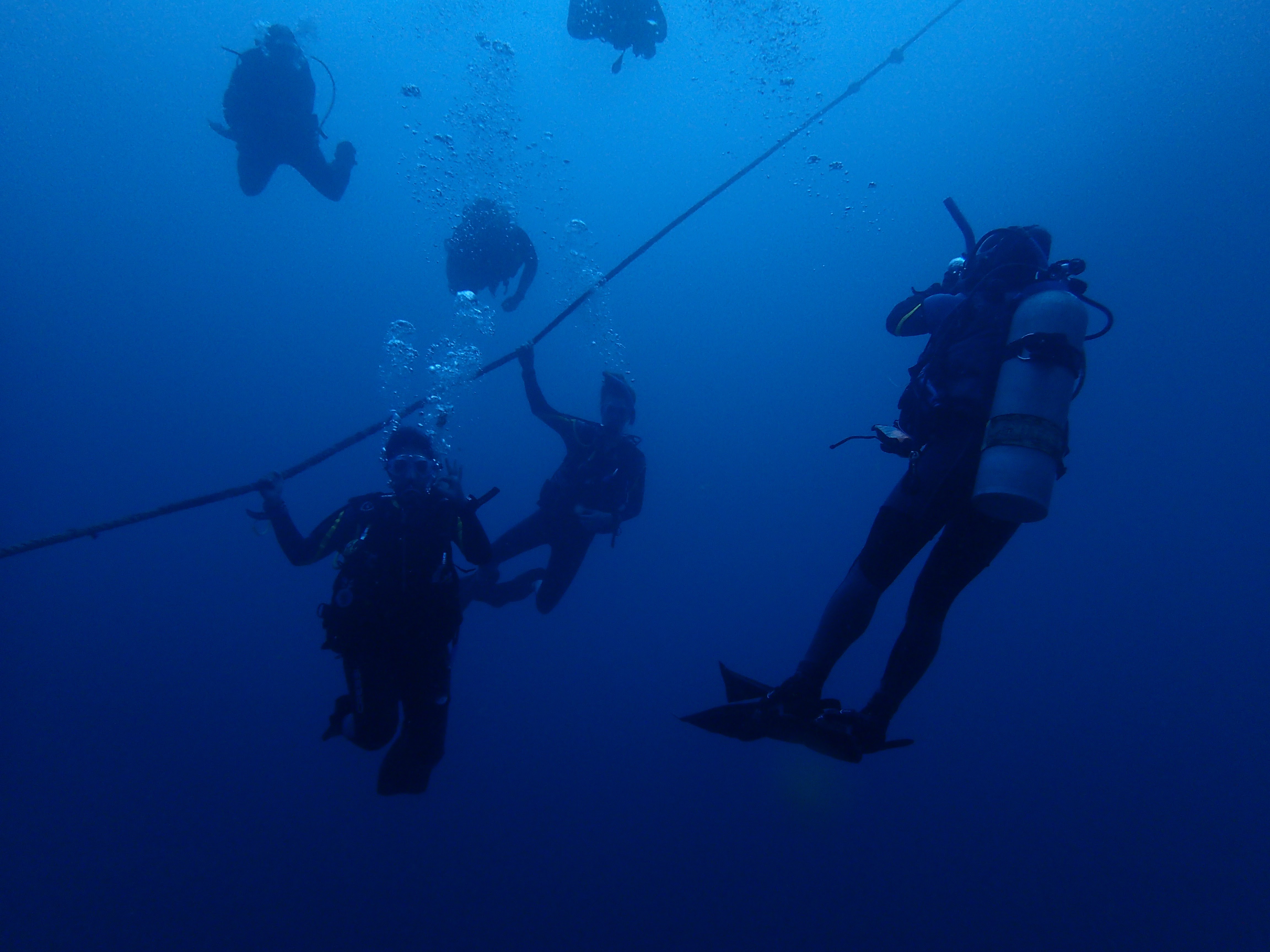 Diving 2017