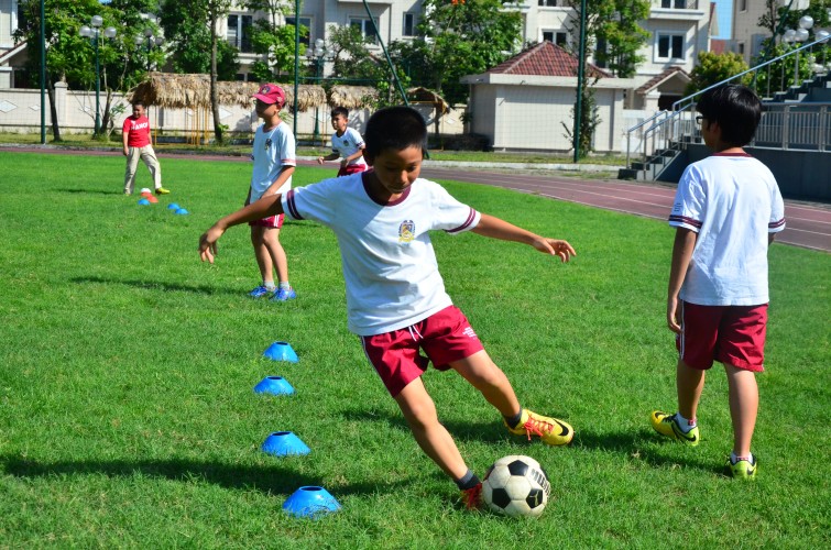BIS Hanoi ECA
