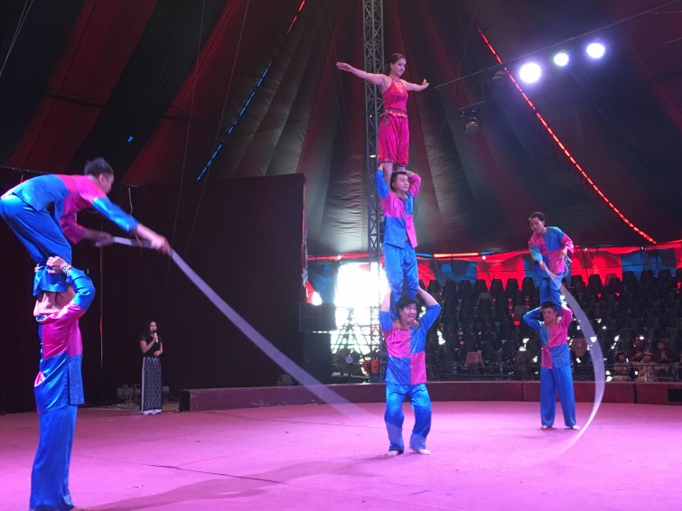 Circus