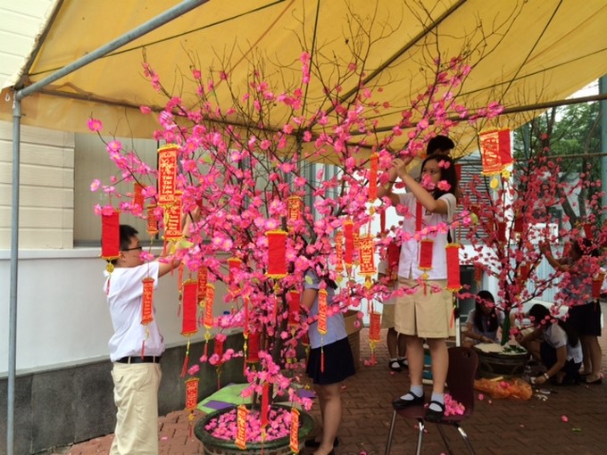 Tet Tree Decoration Competition