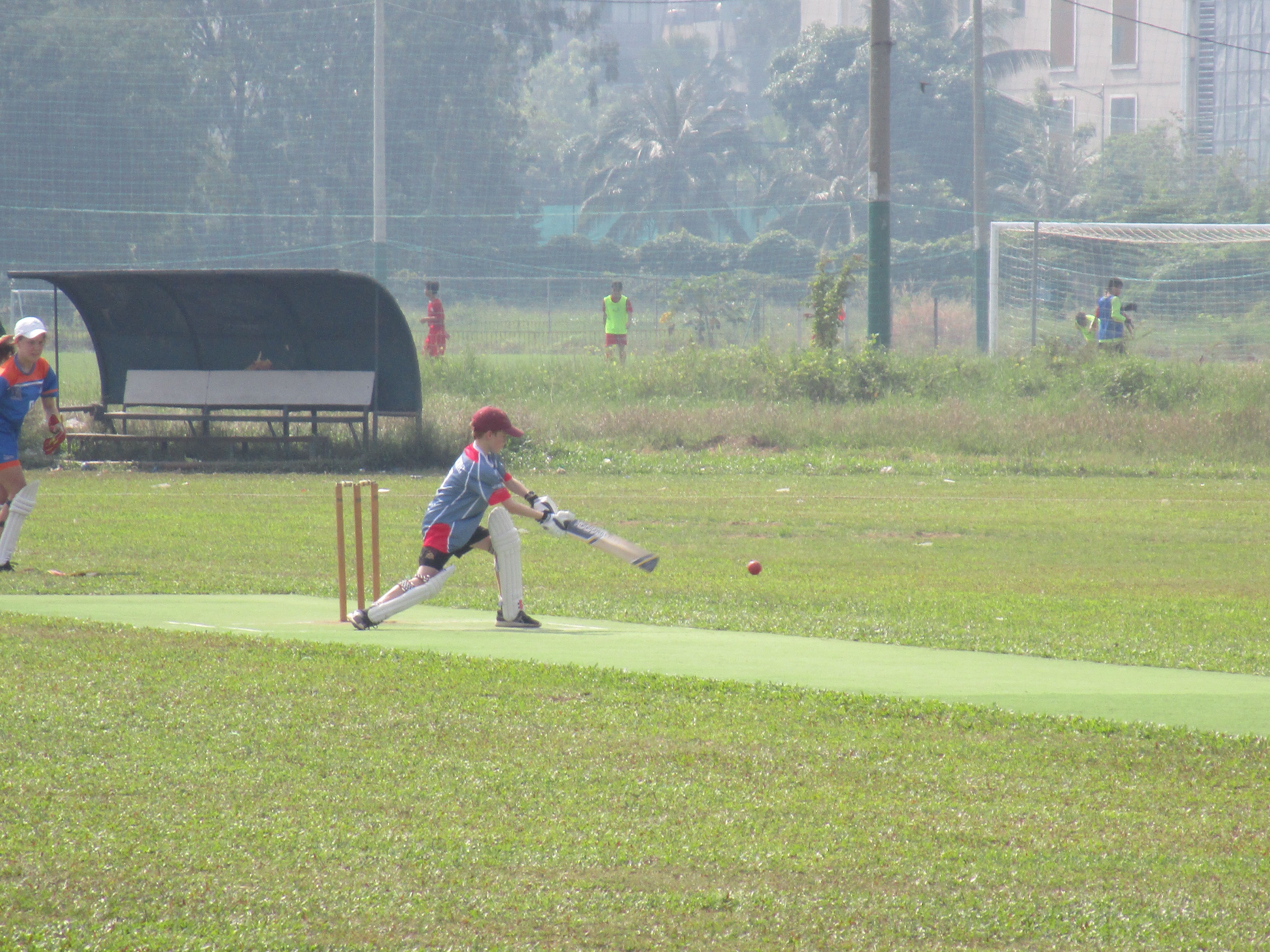 Cricket CCA 2019 (18)-min
