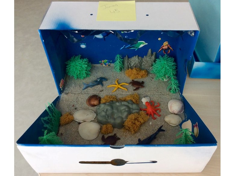 Habitats homework year 4 picture