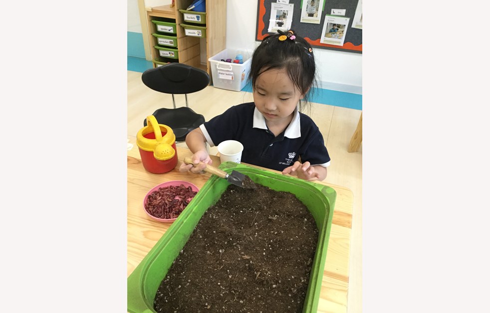 Learning About Plants