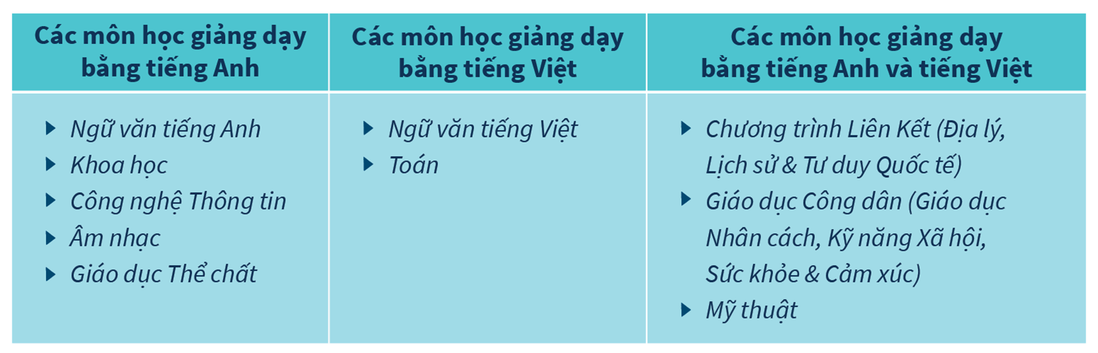 BVIS HCMC Primary Curriculum