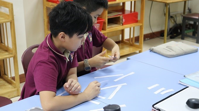 Year 5 Newsletter
