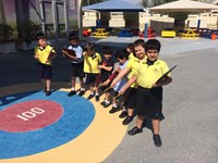 Shape Hunt