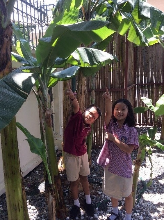 Our world-The Environment- Y2.