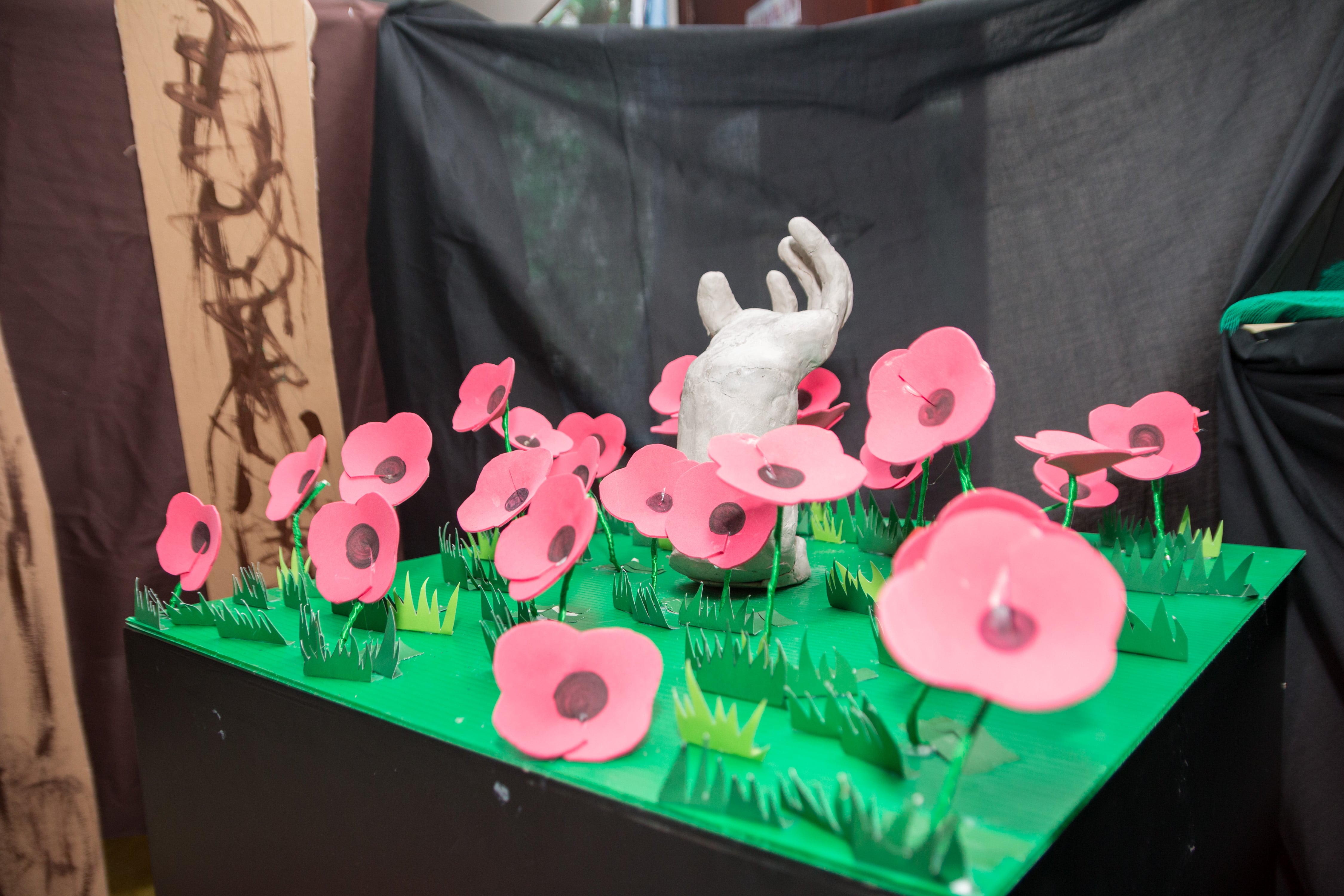 The remembrance poppy is too often taken as a glorification of war but, thankfully, now it has come to commemorate and help.